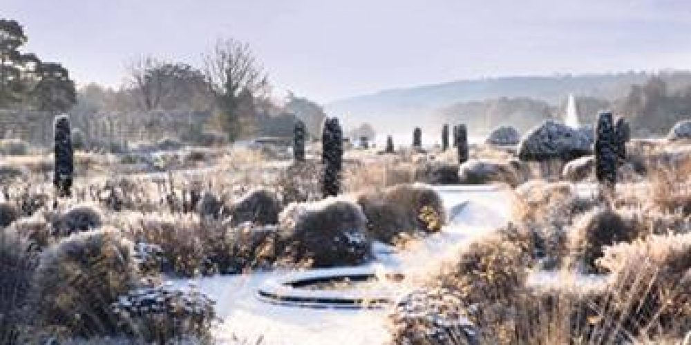 Best Gardens to visit over the Christmas Holidays